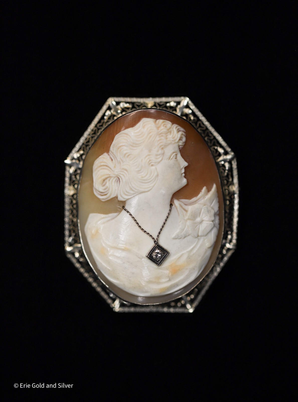 Brooches & Pins
