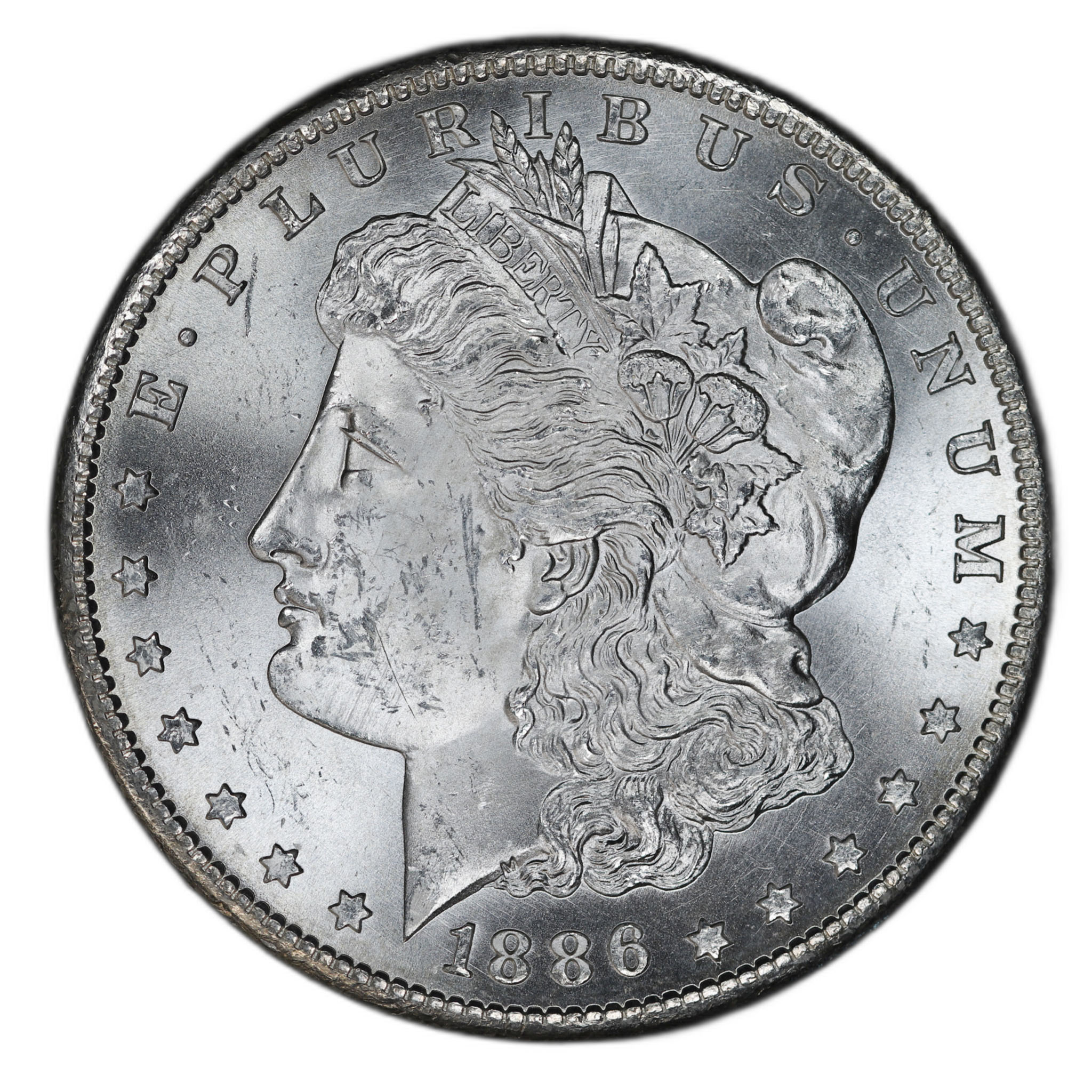 Silver Dollars