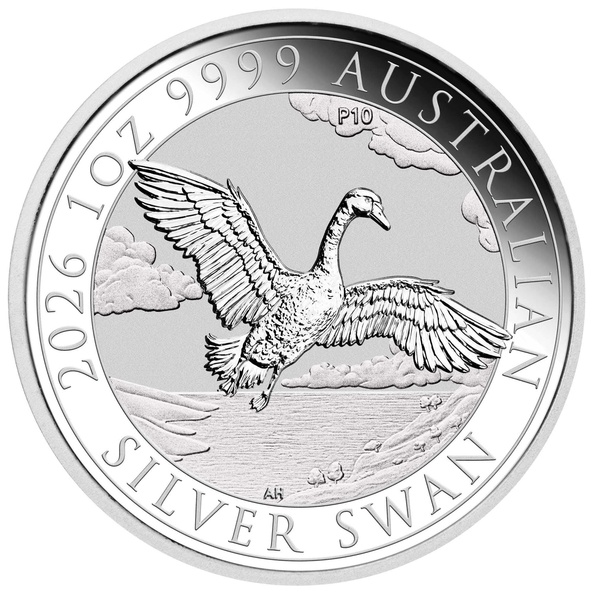 Swan