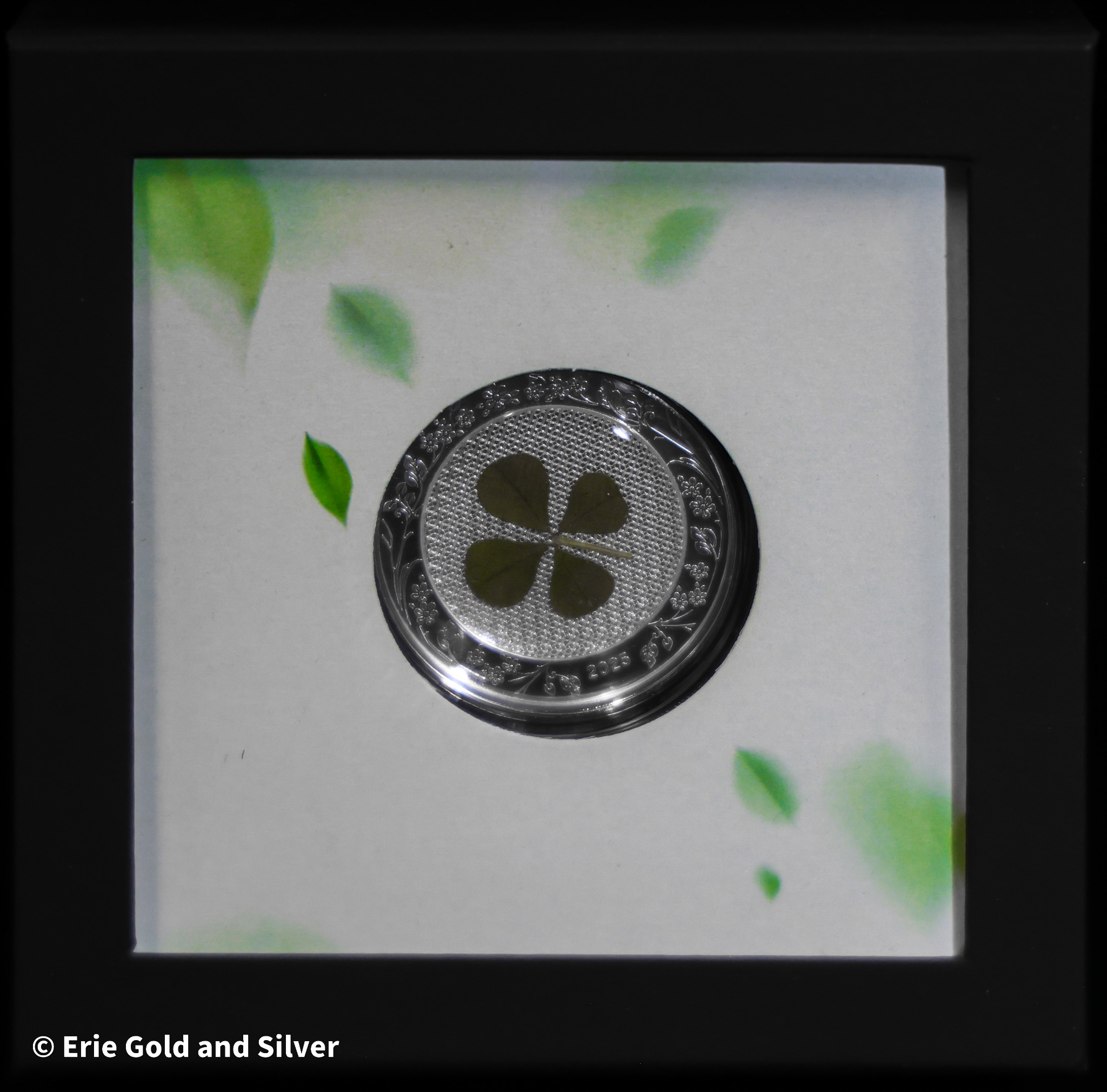 product-69d3eafca72f9.jpg