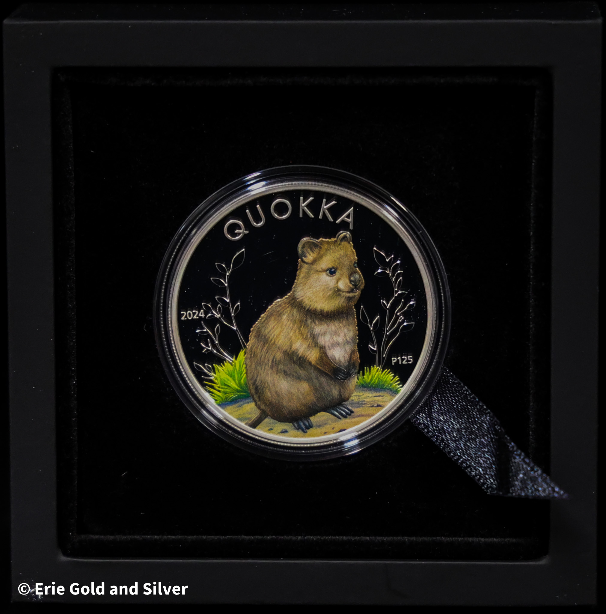 product-69dd4bfbb86eb.jpg