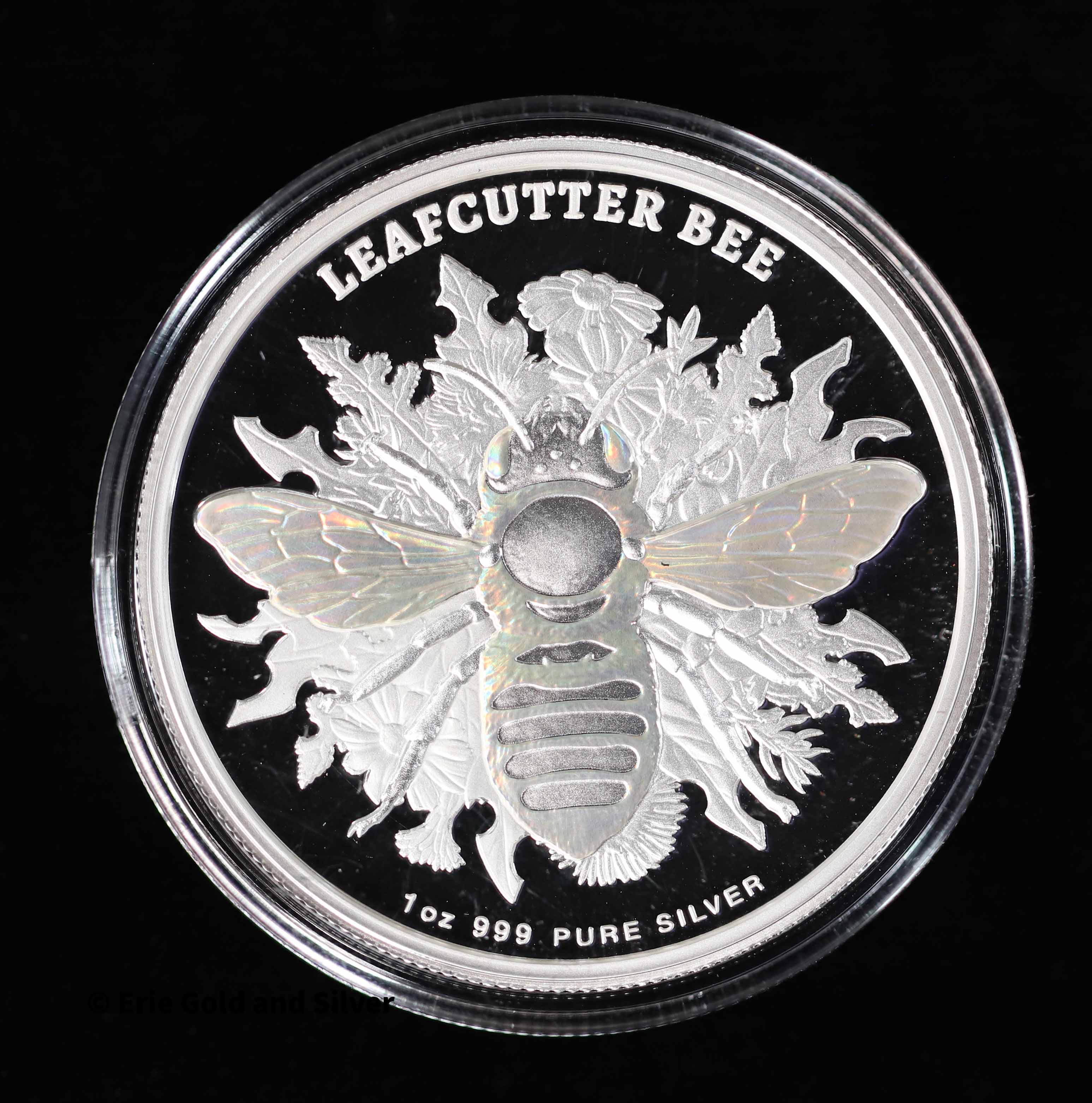 product-69f8fe4b33296.jpg
