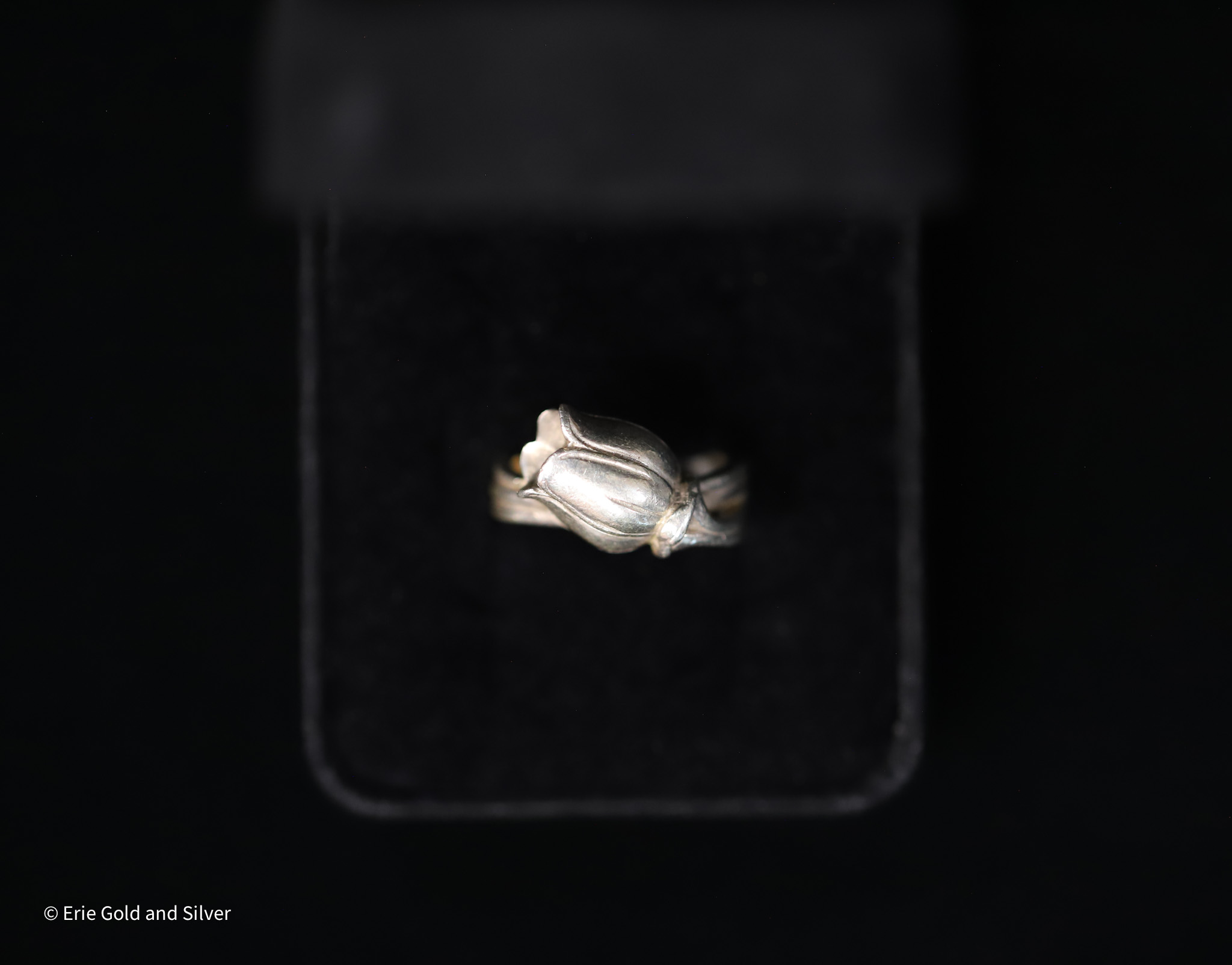 product-6a6a34d856c45.jpg